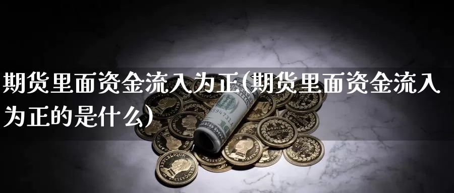 期货里面资金流入为正(期货里面资金流入为正的是什么)_https://www.yinfengsocks.com_道指期货_第1张