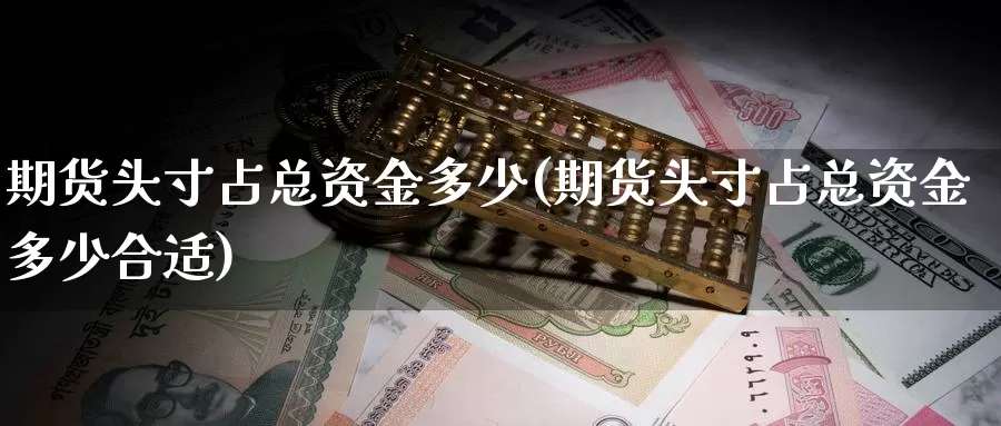 期货头寸占总资金多少(期货头寸占总资金多少合适)_https://www.yinfengsocks.com_道指期货_第1张