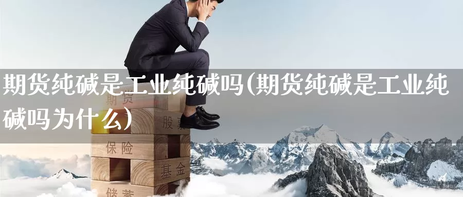 期货纯碱是工业纯碱吗(期货纯碱是工业纯碱吗为什么)_https://www.yinfengsocks.com_道指期货_第1张