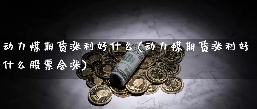 动力煤期货涨利好什么(动力煤期货涨利好什么股票会涨)_https://www.yinfengsocks.com_道指期货_第1张