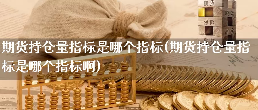 期货持仓量指标是哪个指标(期货持仓量指标是哪个指标啊)_https://www.yinfengsocks.com_道指期货_第1张