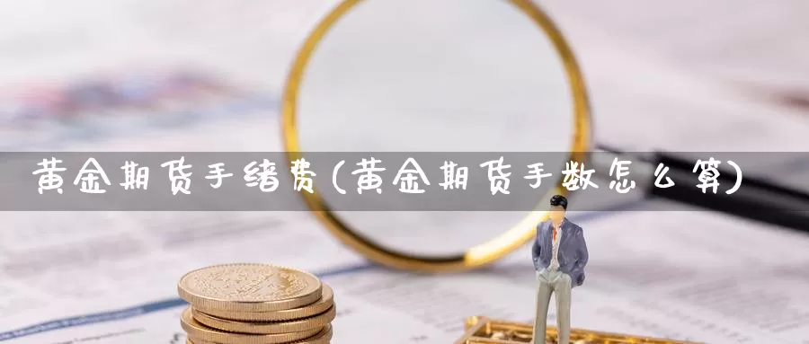 黄金期货手绪费(黄金期货手数怎么算)_https://www.yinfengsocks.com_道指期货_第1张