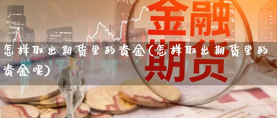 怎样取出期货里的资金(怎样取出期货里的资金呢)_https://www.yinfengsocks.com_天然气直播室_第1张