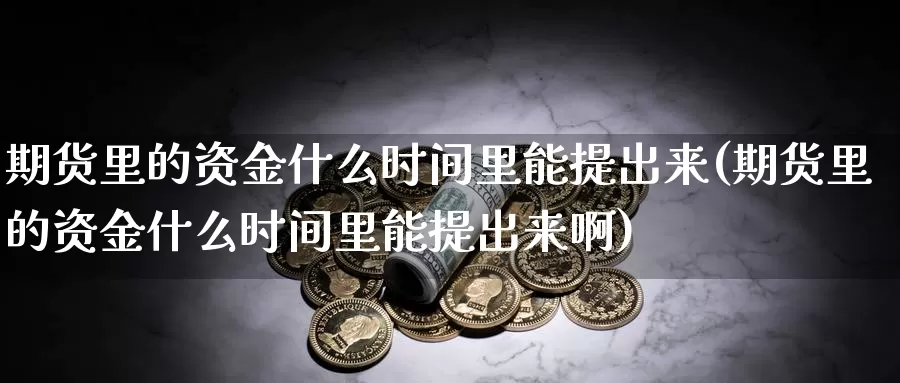 期货里的资金什么时间里能提出来(期货里的资金什么时间里能提出来啊)_https://www.yinfengsocks.com_期货行情_第1张